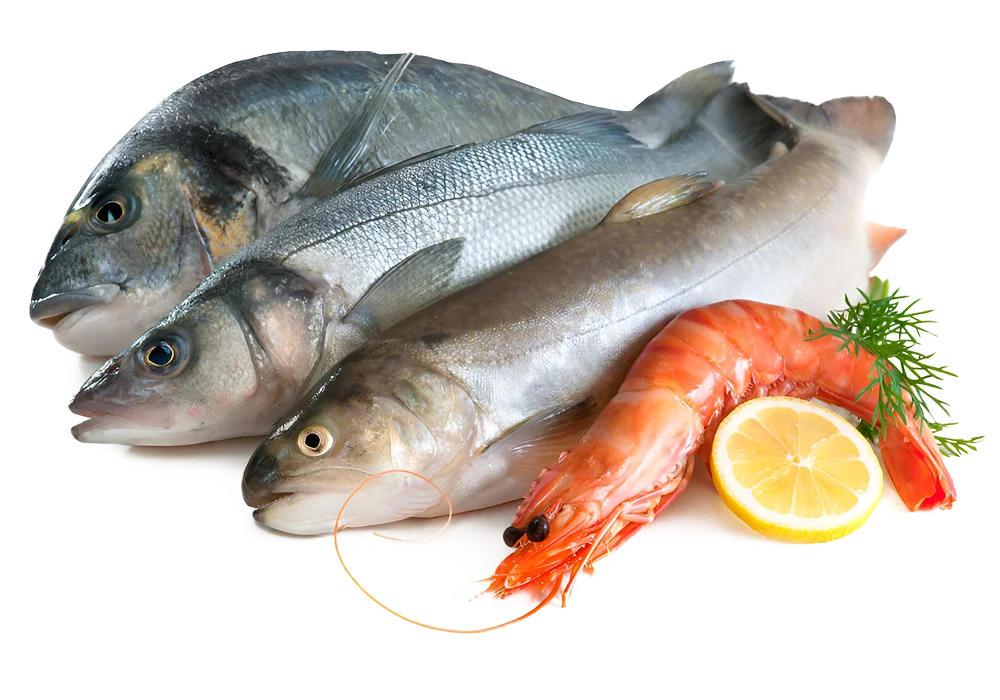 Latelier De Saint Pierre Poissonnerie Levens Mes Valeurs 1