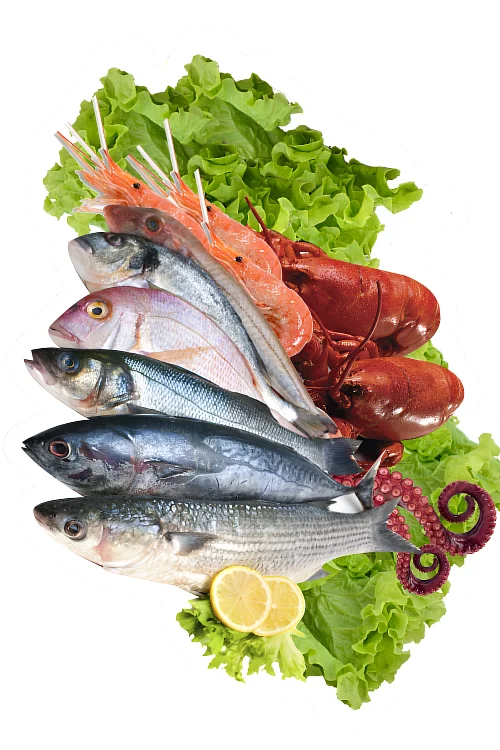 Latelier De Saint Pierre Poissonnerie Levens Poissonnerie 1